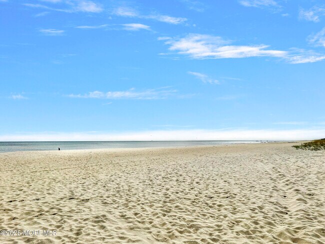 Building Photo - 543 Springdale Ave