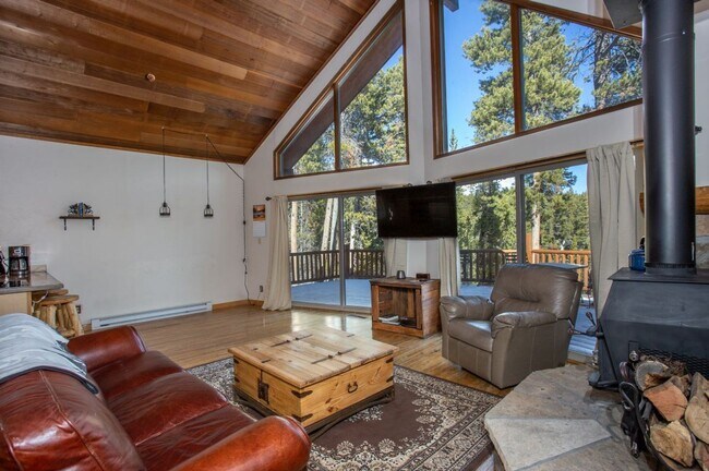 Building Photo - Stunning Fairplay Cabin available now for ...