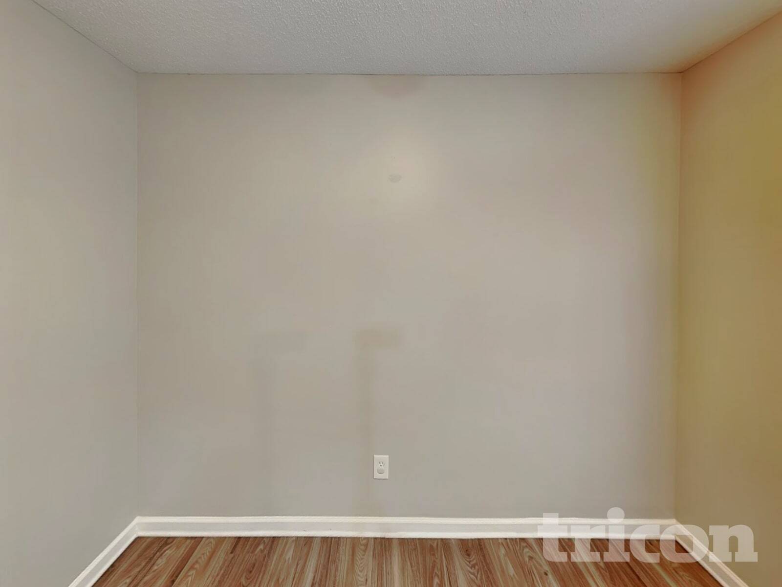 Building Photo - 297 Mission Tripp St