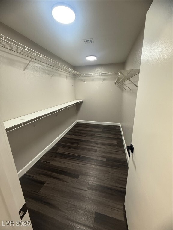 Building Photo - 6409 Wild Chive Ave