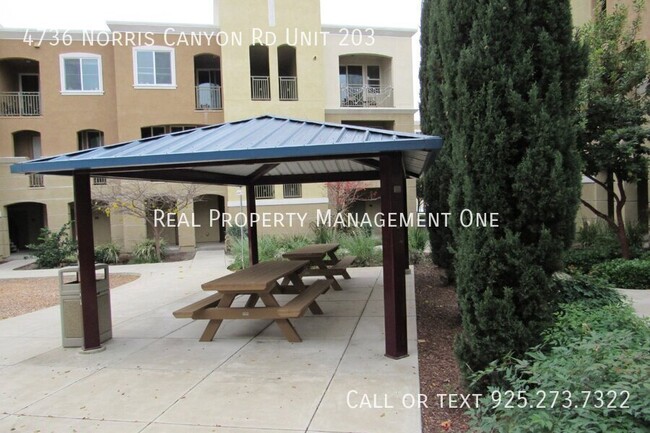 Building Photo - 4736 Norris Canyon Rd