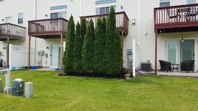 Building Photo - 4118 Cambron Dr