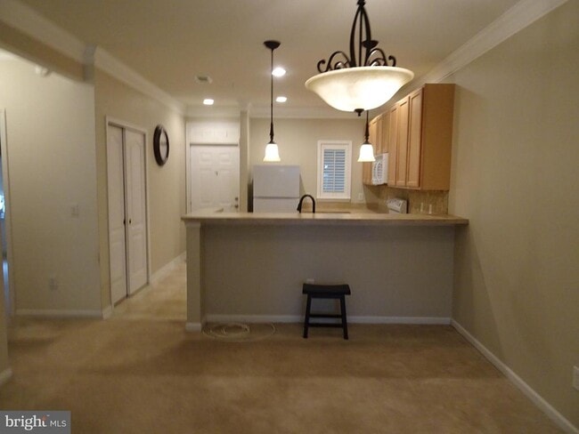 Building Photo - 101 Colonial Downs Ct
