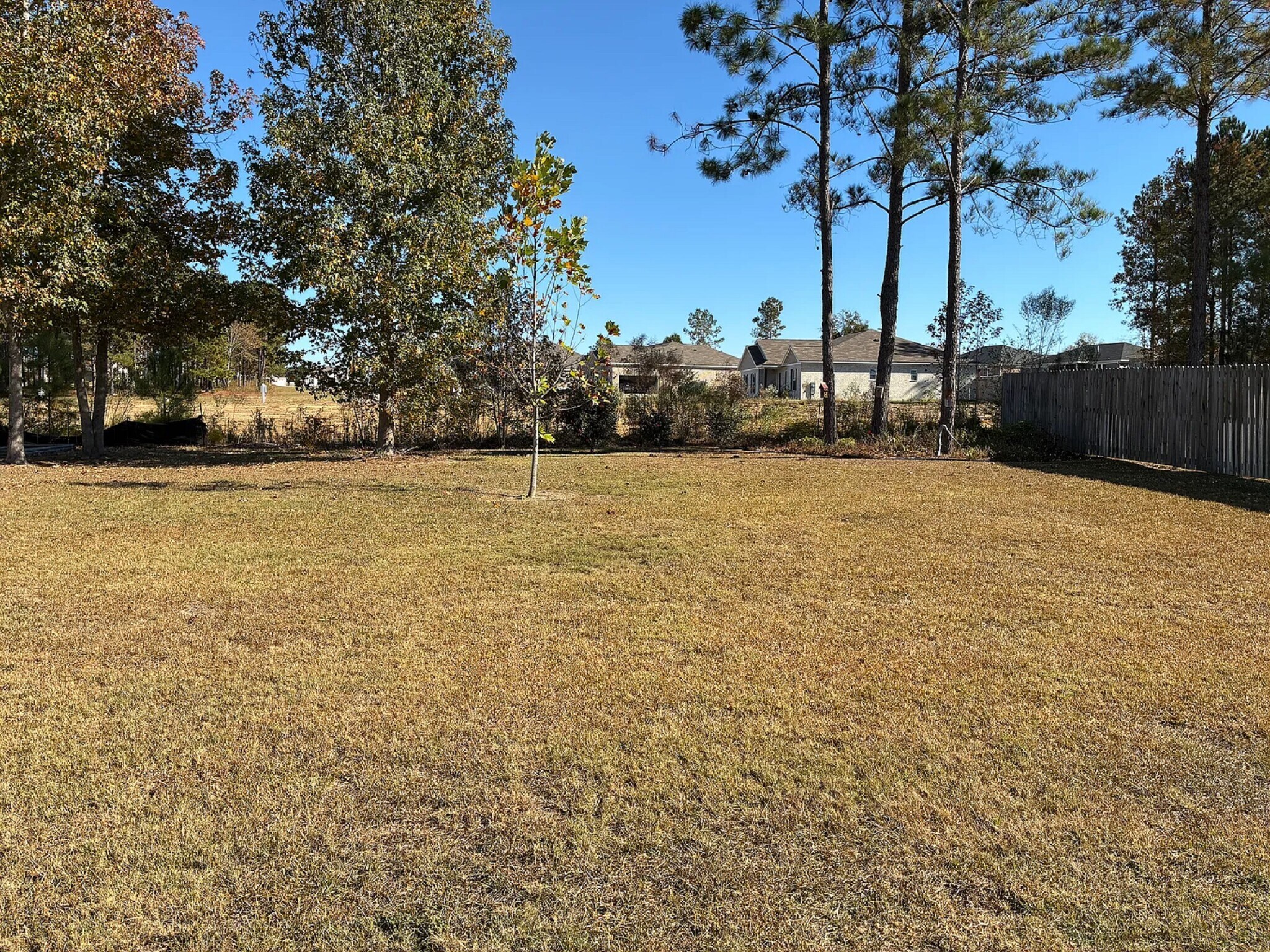 Building Photo - 305 Courtland Dr