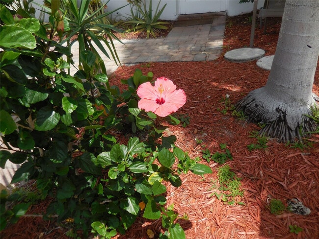 Building Photo - 3050 NW 1st Ave