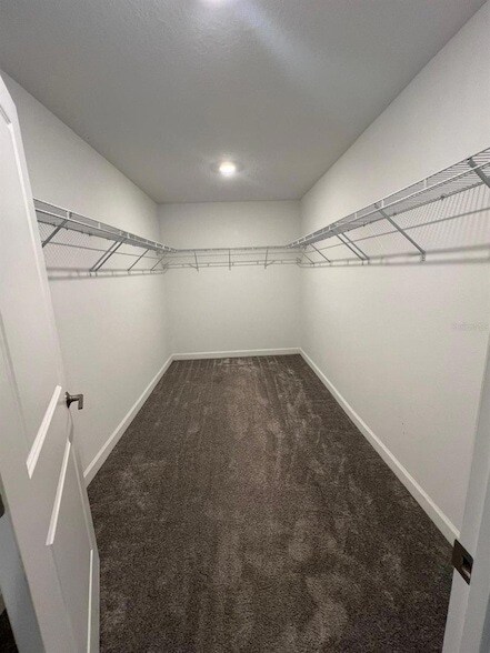 Building Photo - 2817 Camden Wy