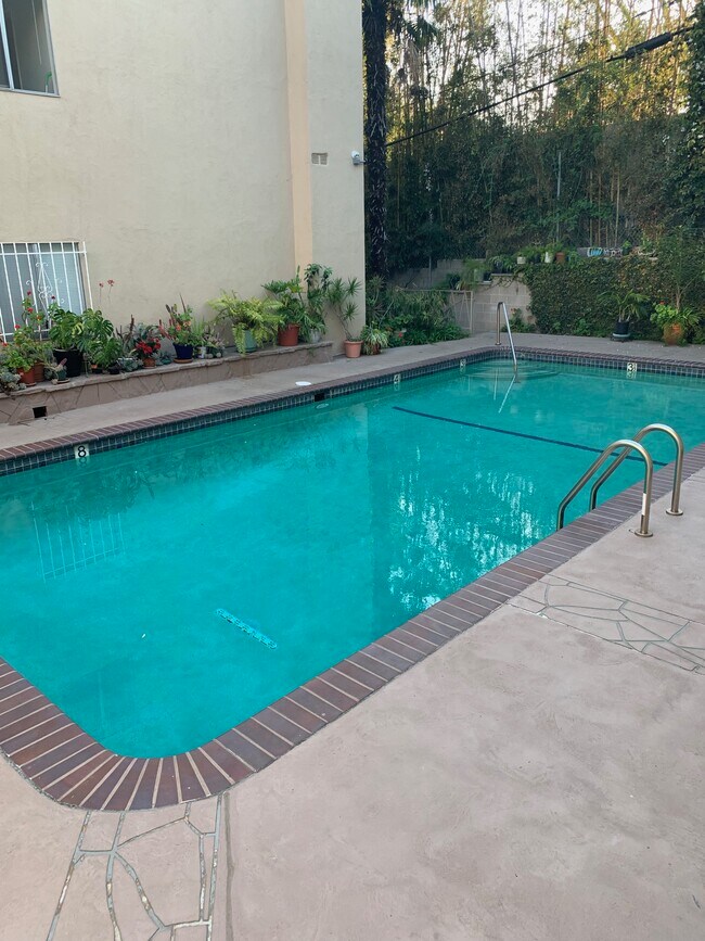 Heated Pool - 1841 N Fuller Ave
