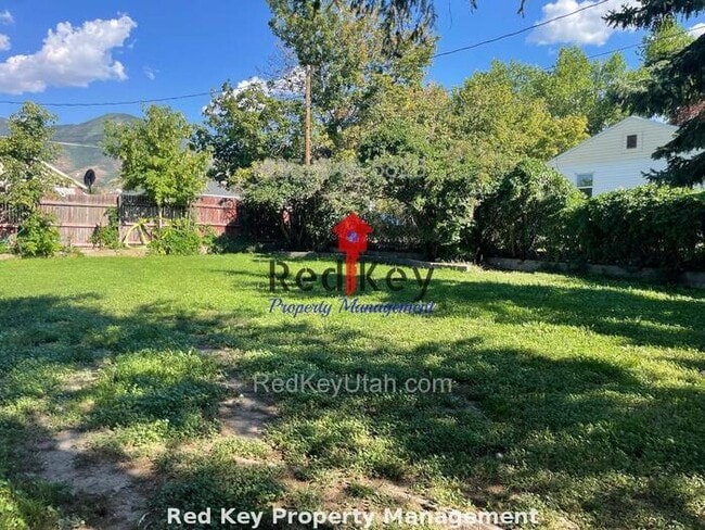 Building Photo - 3rd St Triplex Unit A