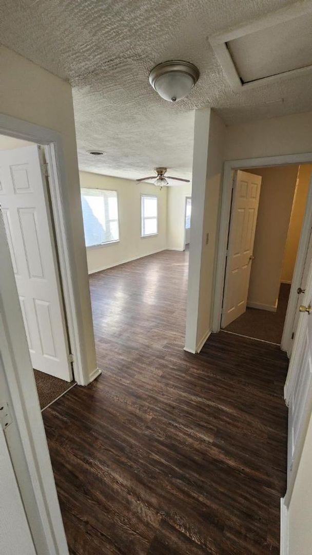 Building Photo - 4 Bedroom House - located off Lumpkin Road