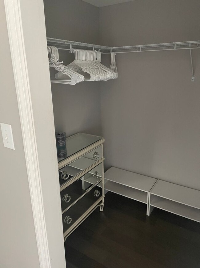 Building Photo - Furnished 1/1 in Plaza Tower@ Kleman Plaza