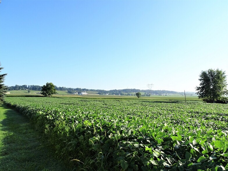 Building Photo - 290 Clay School Rd