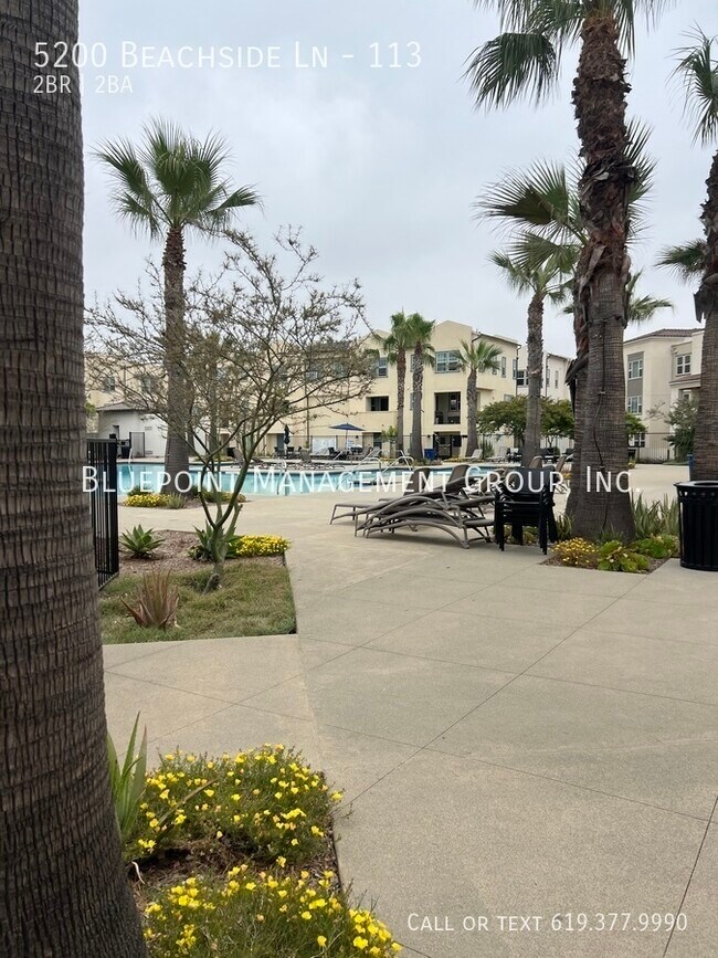 Building Photo - Playa Del Sol Beauty