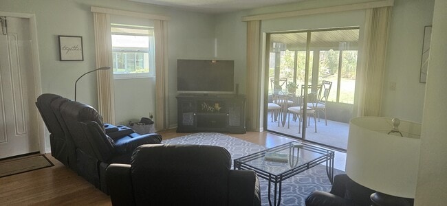 Living Room - 1400 Tarpon Woods Blvd