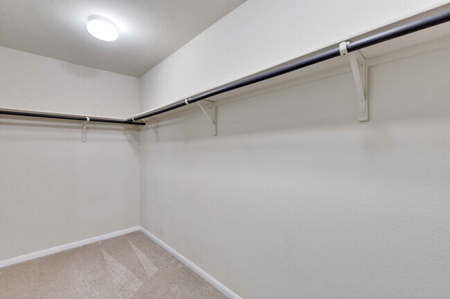 Building Photo - 116 Leona River Trl
