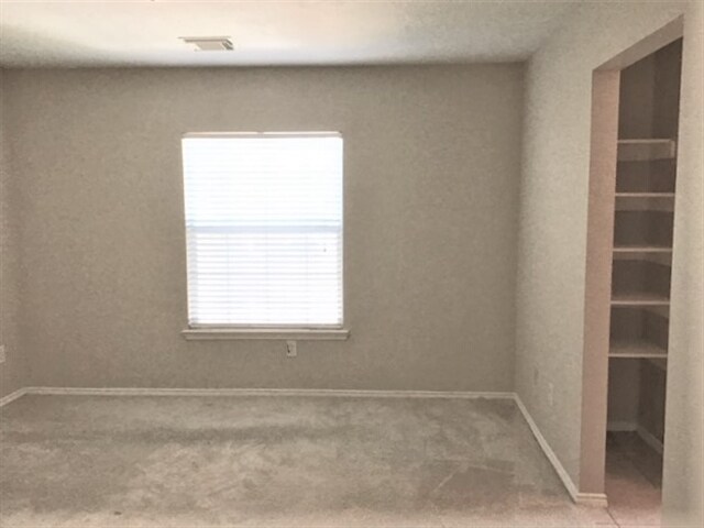 Building Photo - 20003 Mammoth Falls Dr