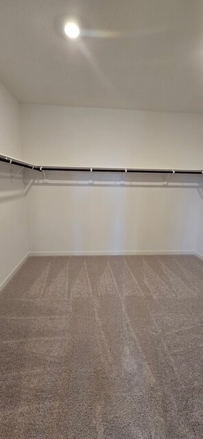 Building Photo - Welcome to your dream home in Lathrop! Thi...