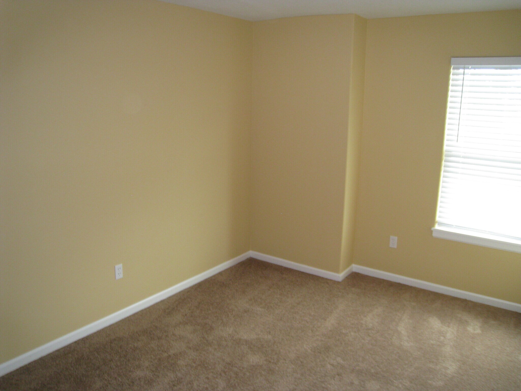 Building Photo - 613 S Meadowbrook St