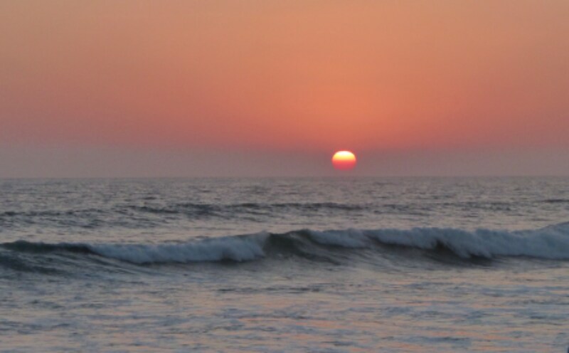 Building Photo - 350 Chestnut Ave