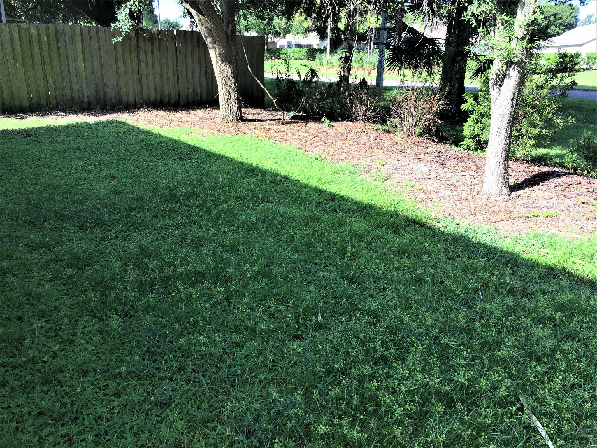 Building Photo - 8535 Quarter Horse Dr