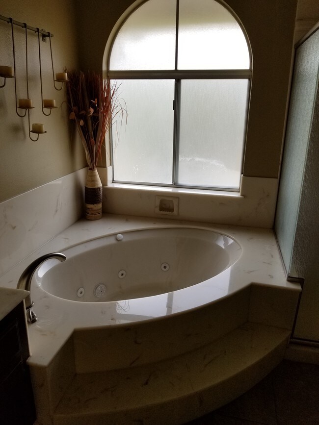jacuzzi tub - 19945 Eagle Ridge Ln