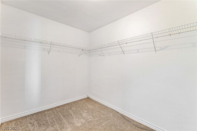 Building Photo - 2621 Lazy Leopard Ct