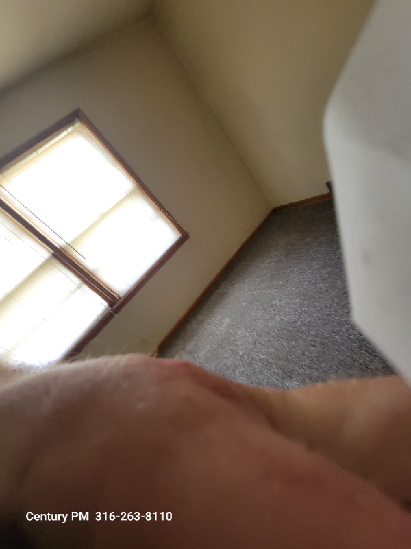 Building Photo - 244 N Fern St