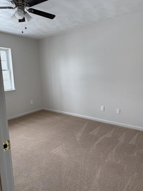 Building Photo - 500 Spang St