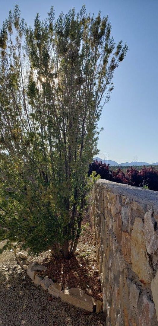 Building Photo - Beautiful Home in Sonoma Ranch with Amazin...