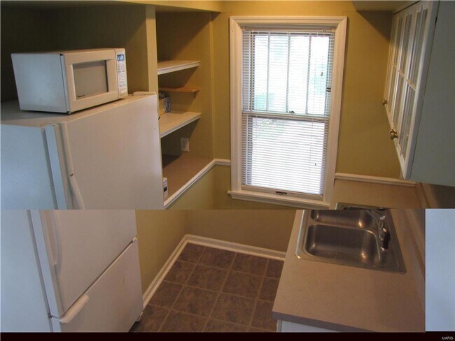 Building Photo - 1313 Claytonia Terrace