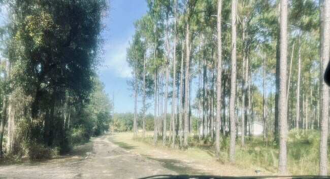 Building Photo - 294 Oscar Weeks Rd