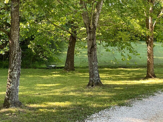 Building Photo - 176 Schools Dr