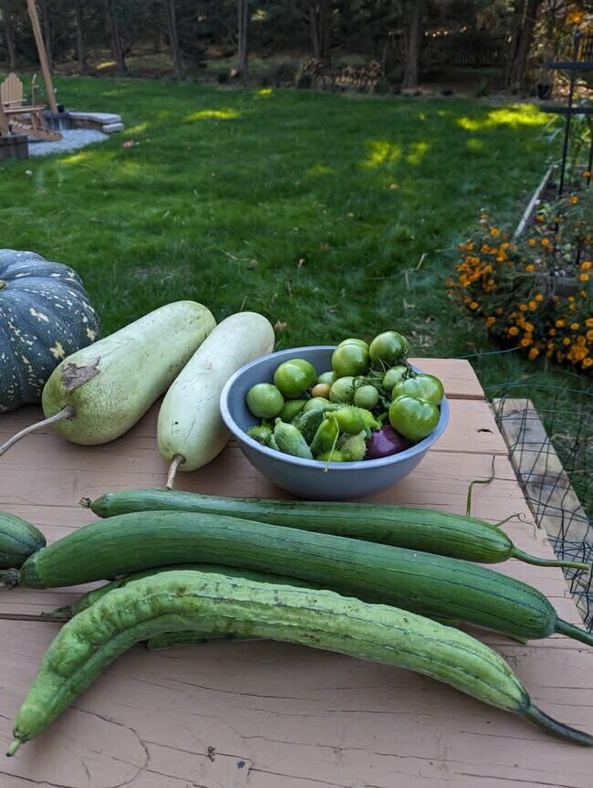 Building Photo - 113 Bottlebrush Ct