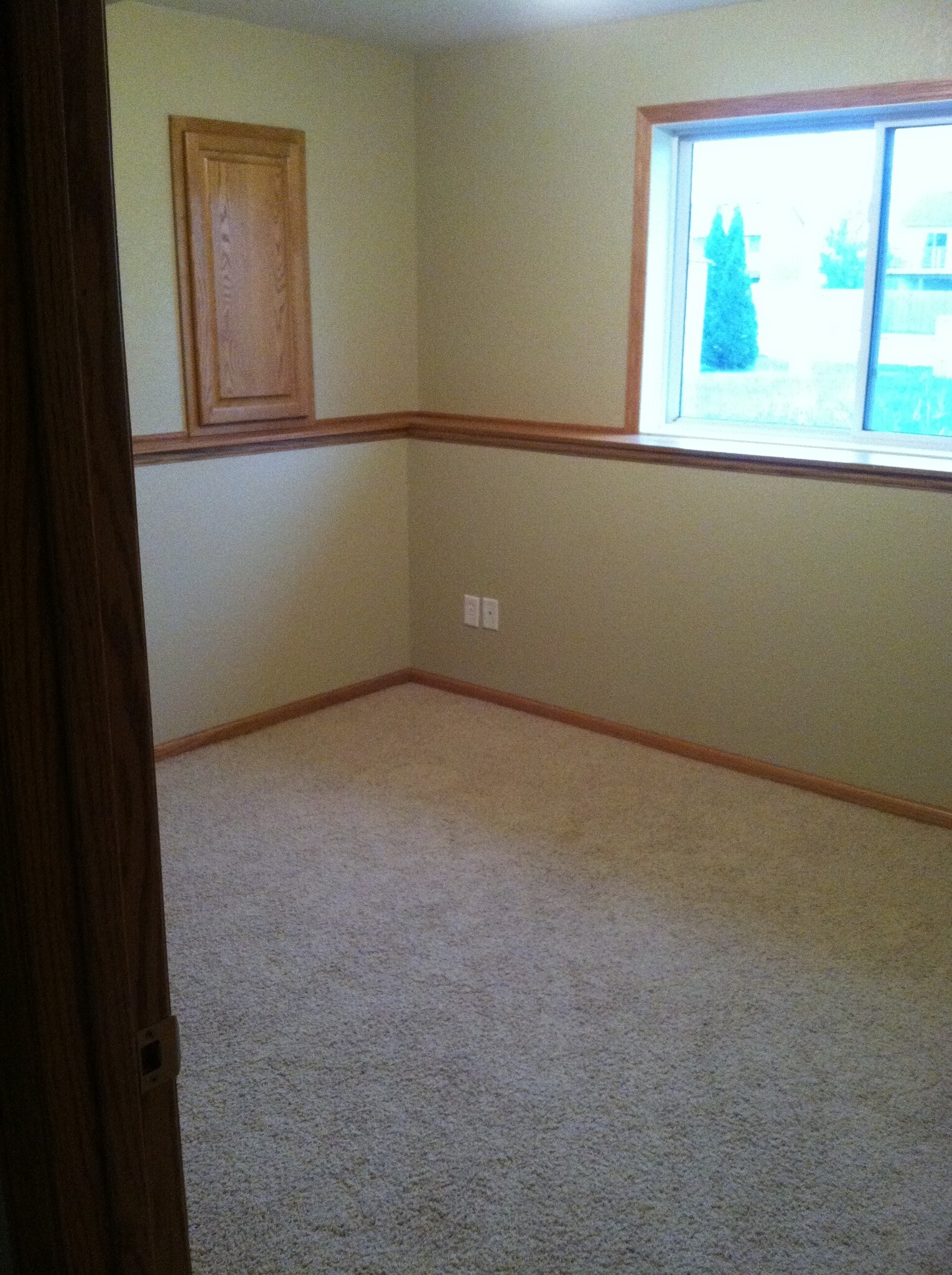 Basement living - 747 Willowbrook St NE