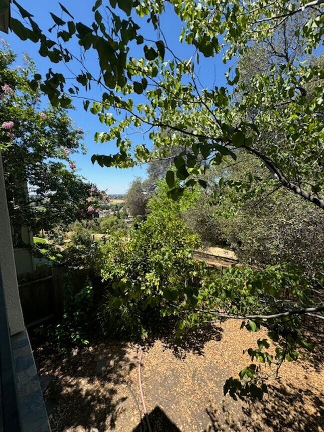 Building Photo - Springfield Home with a View - MUST BE 55 YEARS OF AGE