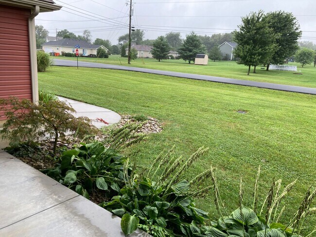 Building Photo - New & Improved Price!