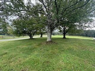 Building Photo - 5013 Bonbrook Mill Rd