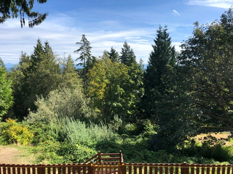 Back yard view - 7221 Yew St
