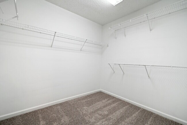 Building Photo - 4405 Feather Way