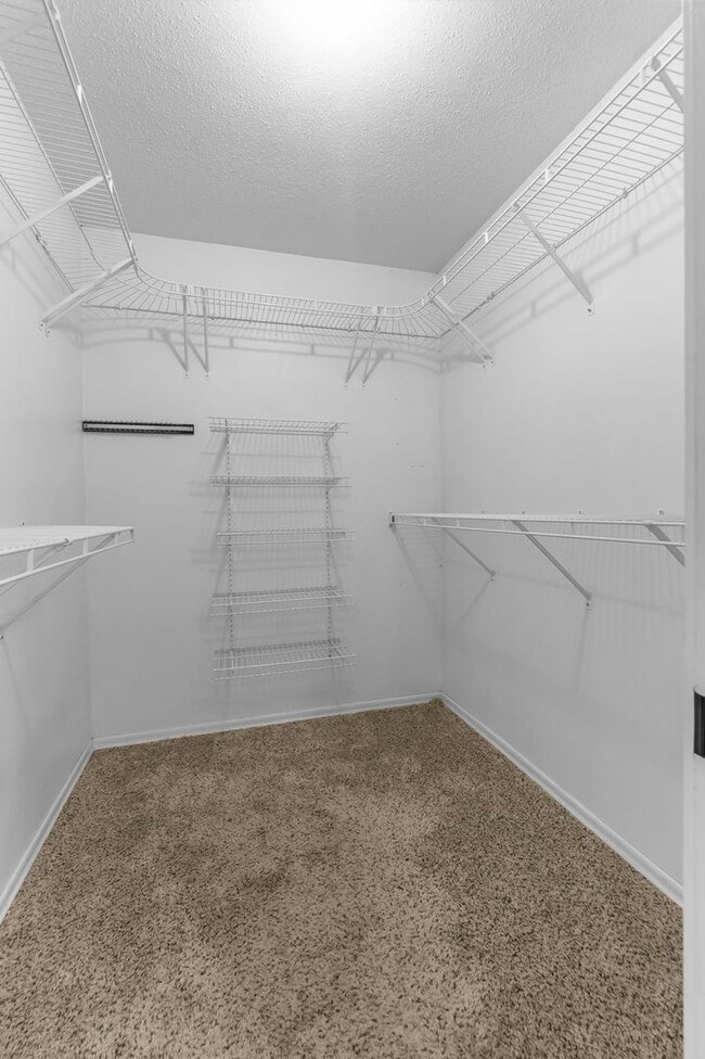 Building Photo - Beautiful Home in Cape Girardeau!
