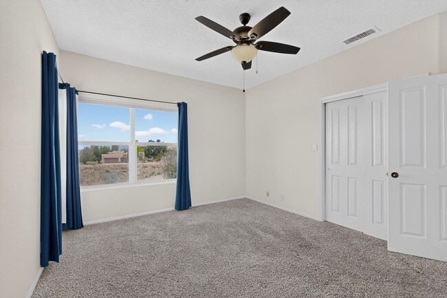 Building Photo - Luxuary Home in N. Alb Acres 2200/sf 3/bd 2/ba 2/cg