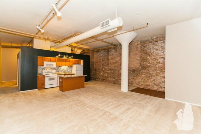 Building Photo - 1 bedroom in Chicago IL 60610