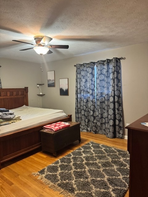 Building Photo - 43 Dixon Ter