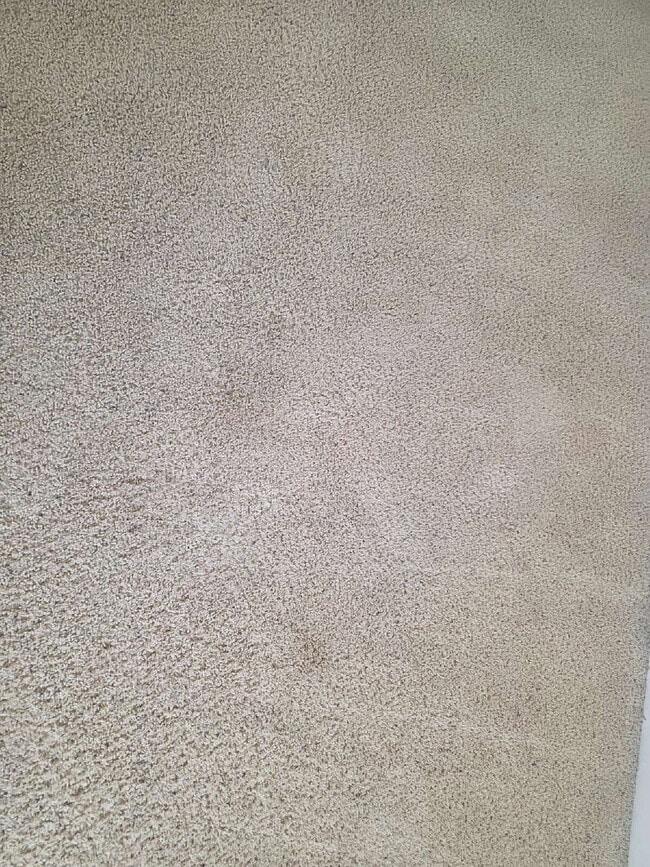 Building Photo - Spacious 4-Bedroom Home for Rent in Kings ...