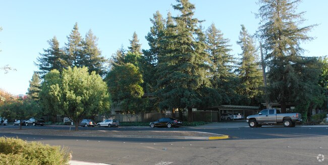 Primary Photo - Park Vista Apartments
