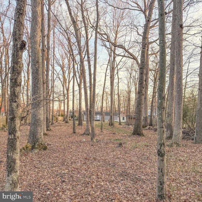 Building Photo - 205 Biddle Rd