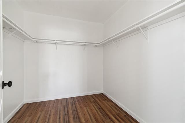 Building Photo - 2038 Avon Dr