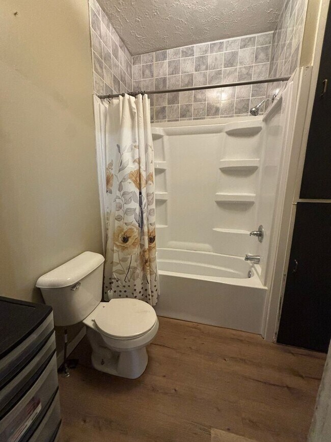 Building Photo - Italian Estates Property Management