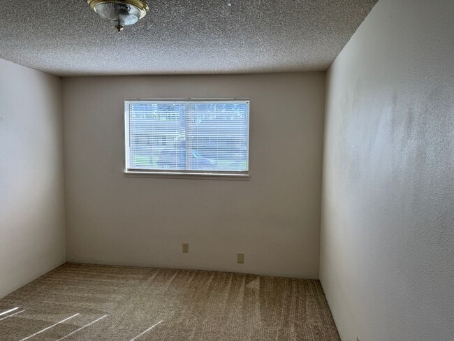 Building Photo - Great single level 2 bed/1 bath duplex in Thurston!