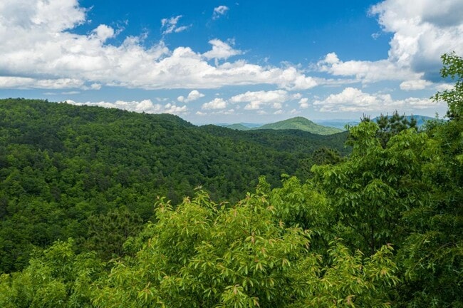 Building Photo - 348 Winding Ridge