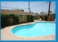 Pool - The Palm Apartments